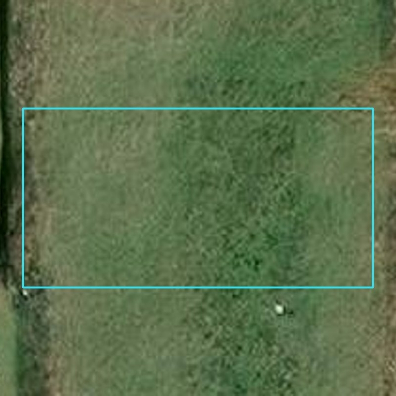 780