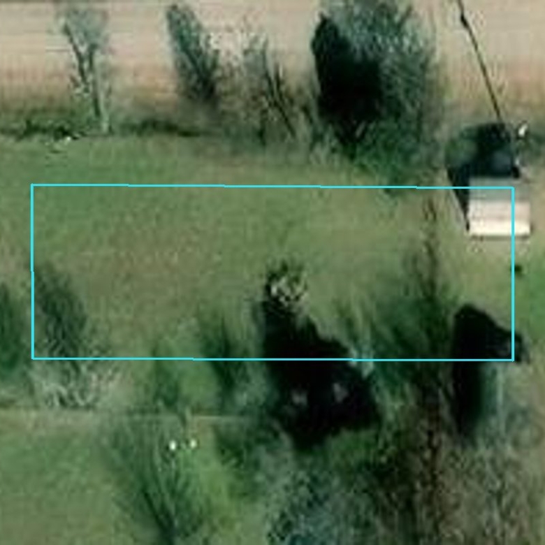 780
